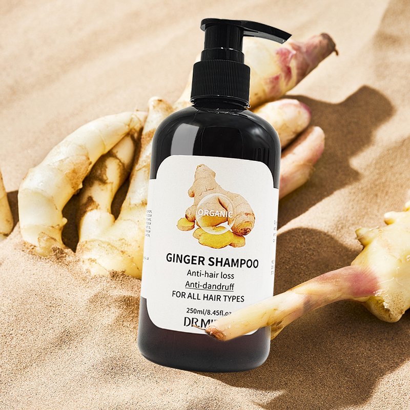 Herbal Organic Hair Care Ginger Regenerating Shampoo anti-itching Treatment Anti hair loss Ginger Shampoo