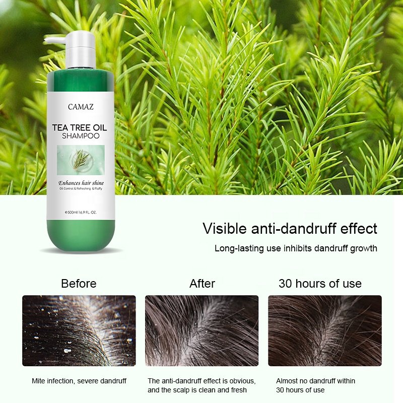 Wholesale Oil Control tea tree shampoo and conditioner set Anti-dandruff tea tree shampoo