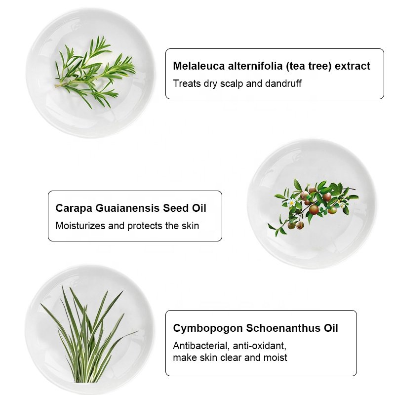 Wholesale Oil Control tea tree shampoo and conditioner set Anti-dandruff tea tree shampoo