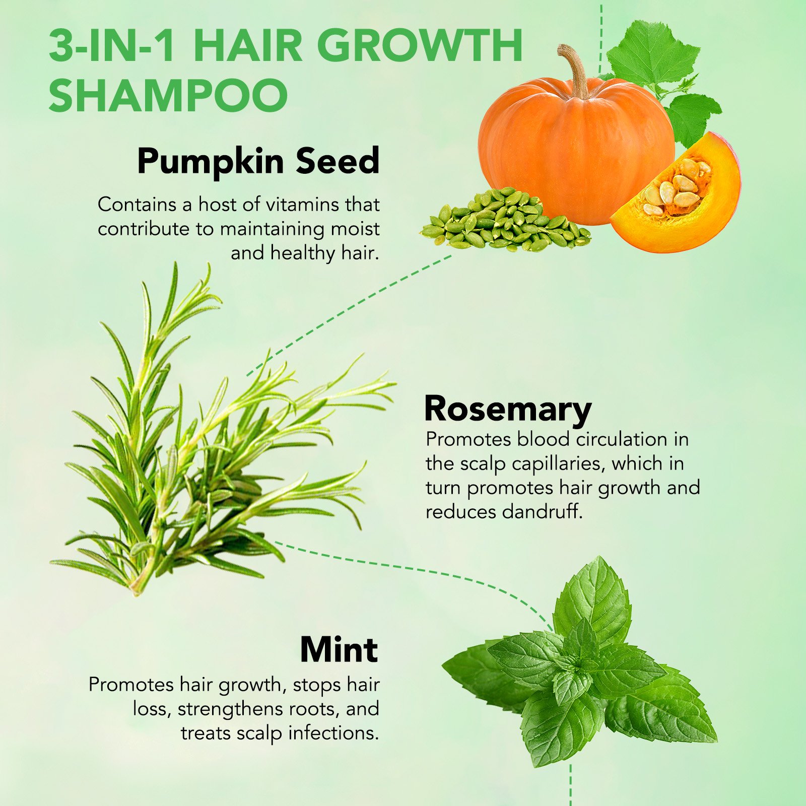 ALIVER private label prevents dandruff alleviates dry biotin hair peppermint rosemary pumpkin seed oil shampoo for hair