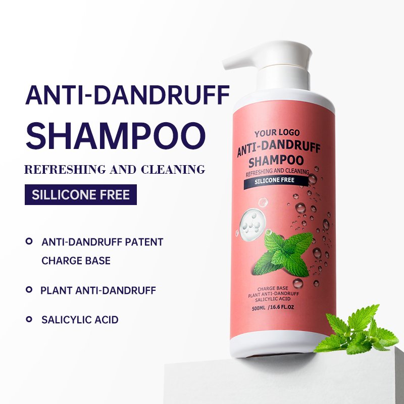 OEM ODM High Quality Hair Shampoo For Dandruff Private Label Professional Refreshing Mild Cleansing Anti Dandruff Shampoo