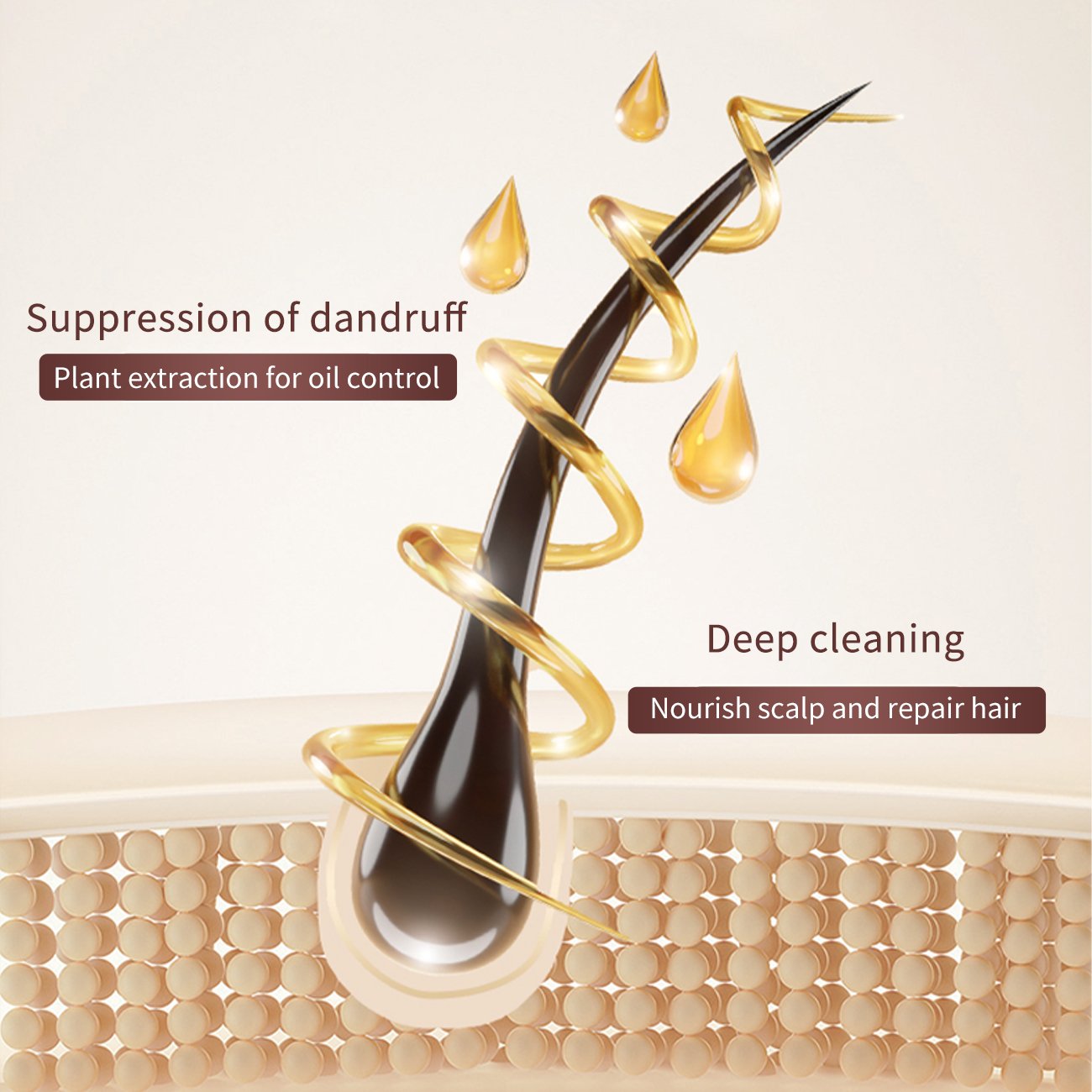Organic Healthy Natural Collagen protein Argan Oil Essence Shampoo Dandruff Fluffy Moisturizing Collagen protein Shampoo