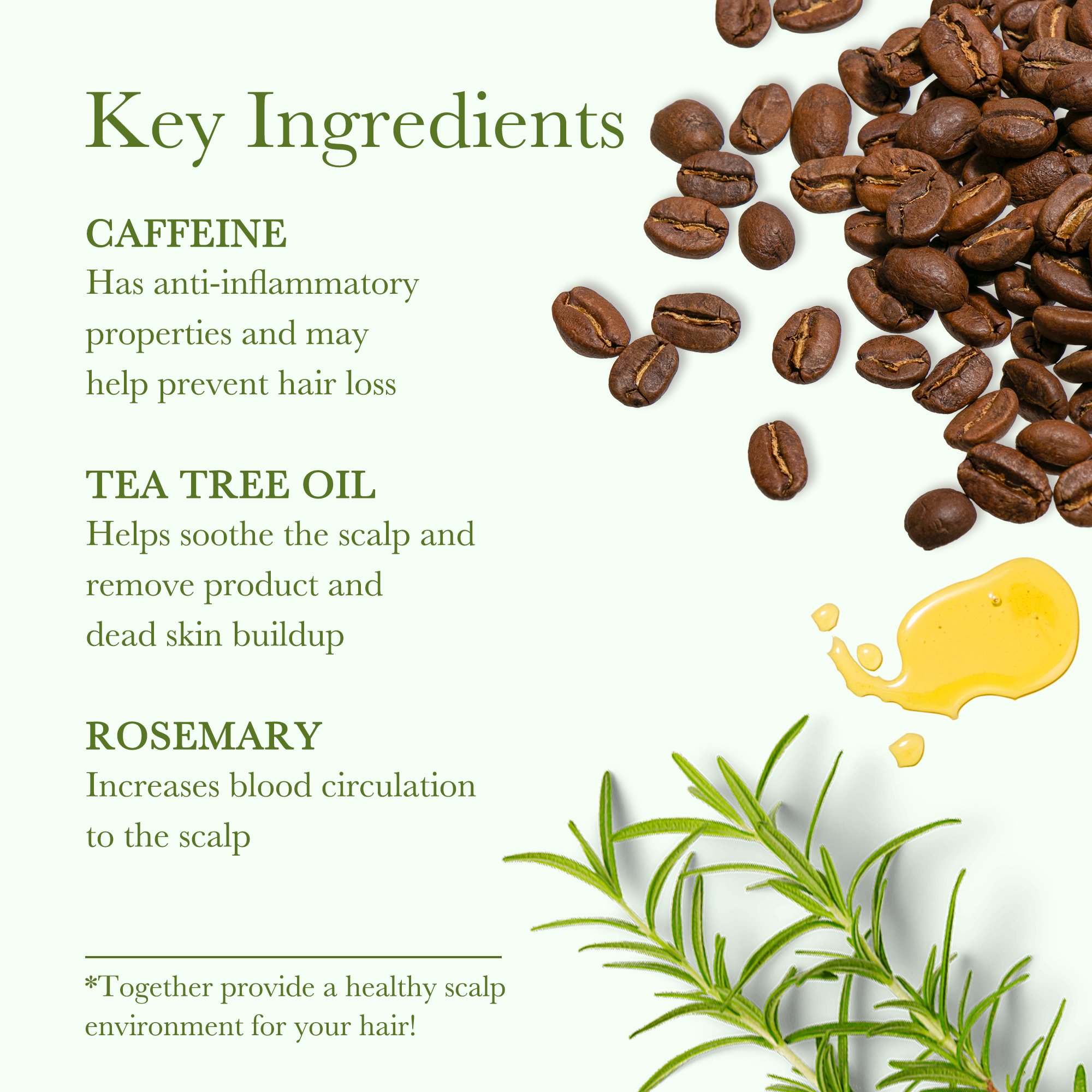 Private Label Vegan Organic Rosemary Caffeine Tea Tree Men Women Scalp Care Serum Hair Treatment Growth Oil