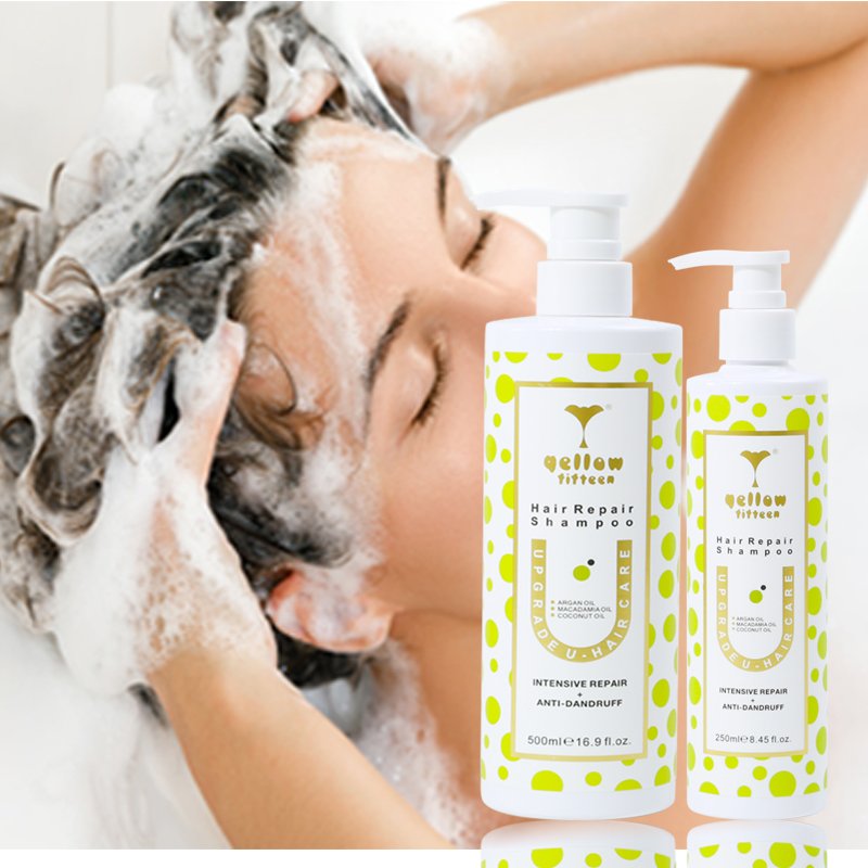 Wholesale Hair Care Curly Shampoo Natural Coconut Oil Organic Moisturize And Repair Hair Shampoo