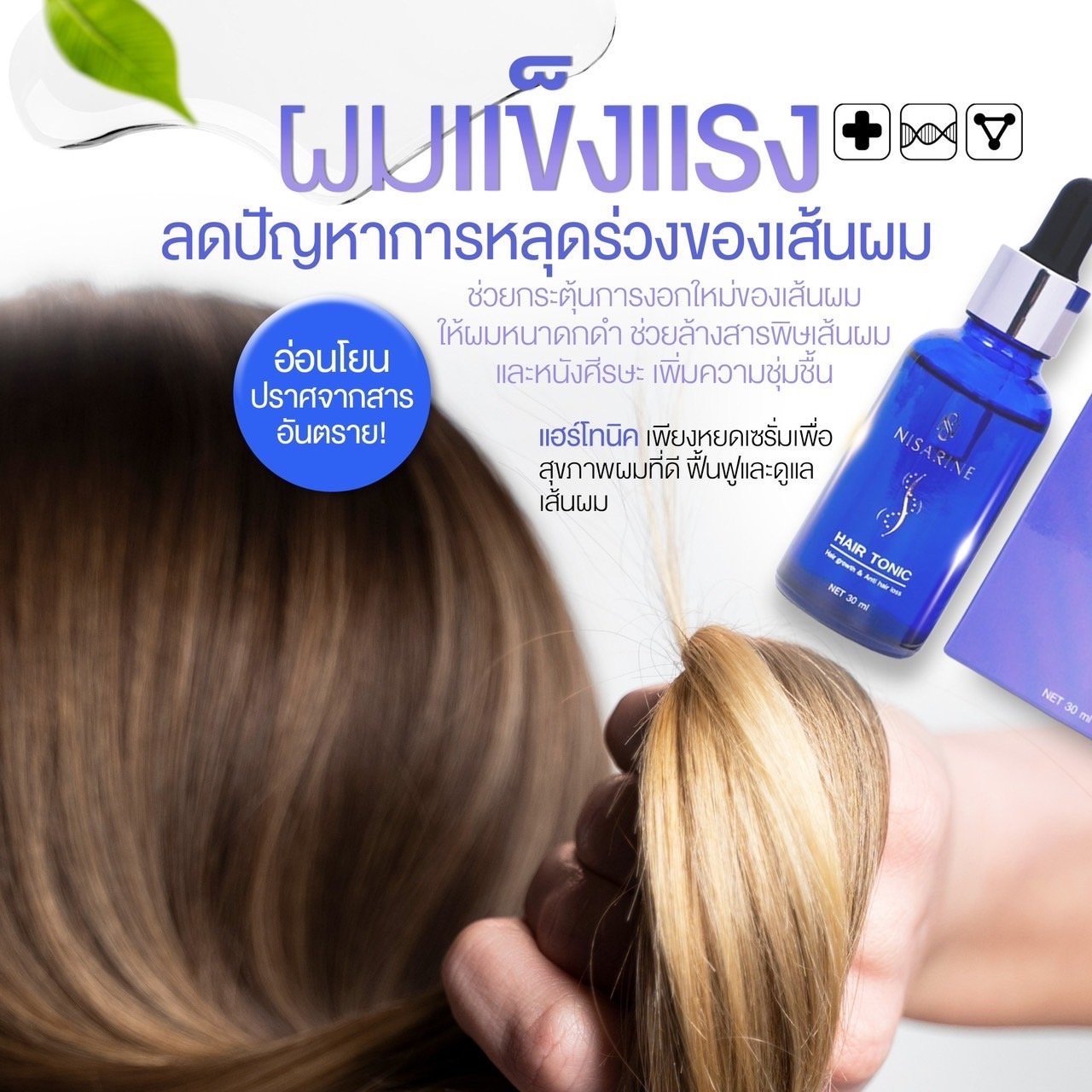 Hair Tonic 30ml Hair Serum Prevent Hair Loss and Protect Scalp Wholesale from Thailand