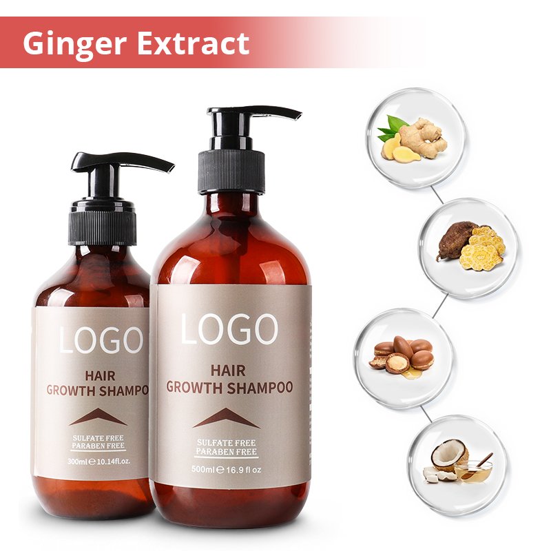Manufacturer Fast Hair Growth Ginger Anti-Dandruff Organic Tea Tree Oil Shampoo And Conditioner Set