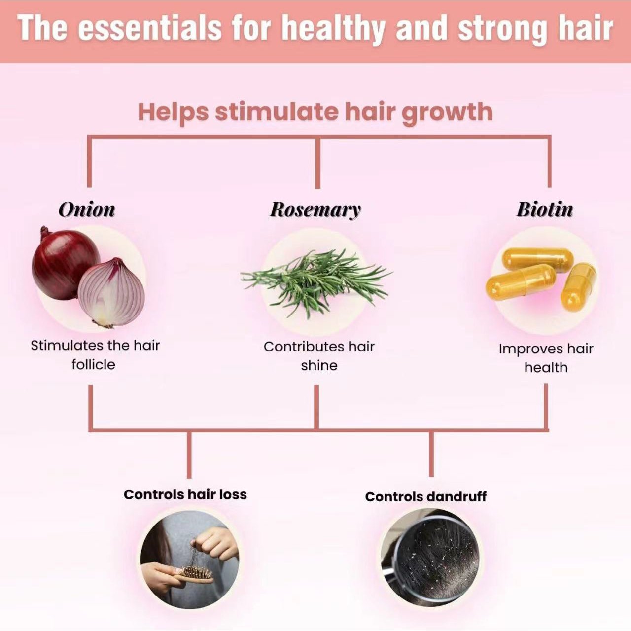 Natural Sant Onion, Rosemary and Biotin Shampoo & Treatment You can customize the size you want