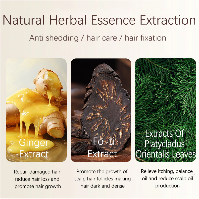 Herbal shampoo for men and women to control oil and prevent hair loss. Ginger shampoo is used for hair loss and hair loss