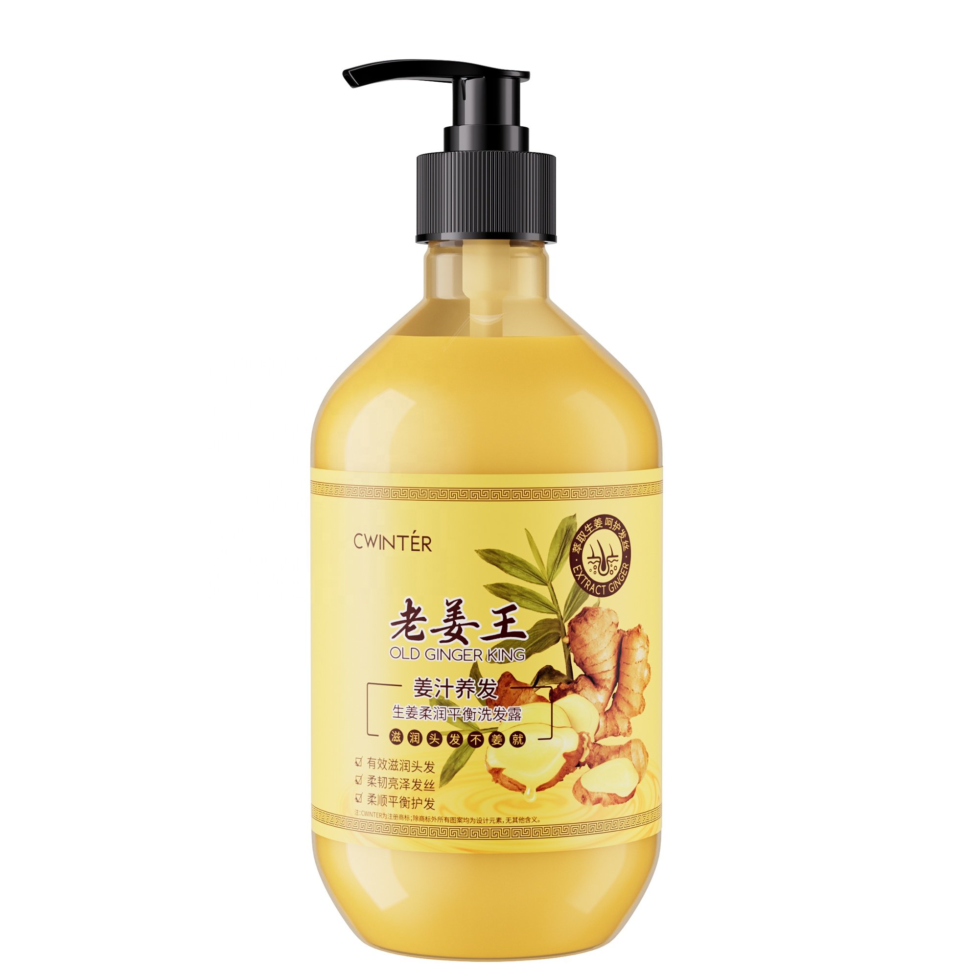 ZHIDUO OEM ODM private label anti-hair loss long hair styling ginger Hair Care set Natural shampoo