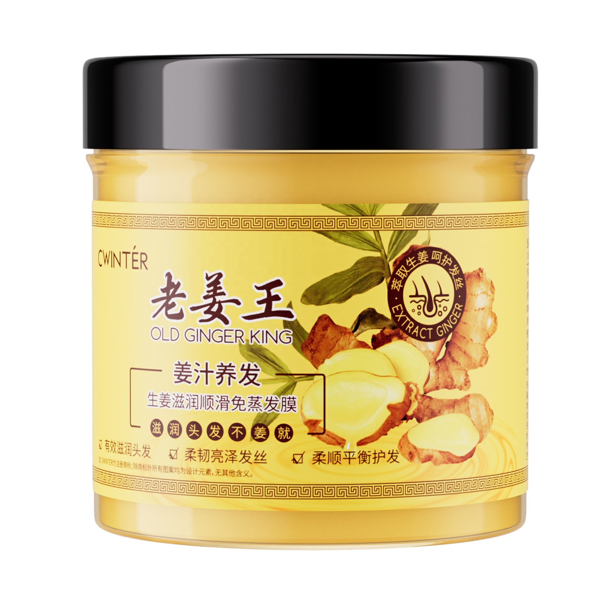 ZHIDUO OEM ODM private label anti-hair loss long hair styling ginger Hair Care set Natural shampoo