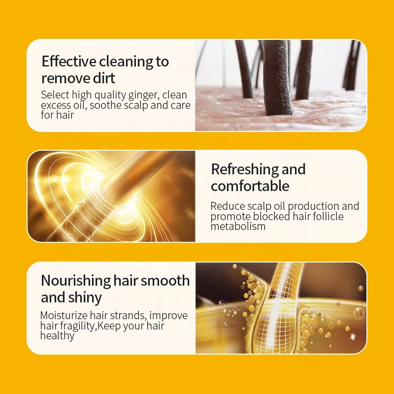 KORMESIC Hot sales Ginger Extract Nourish Oil Control Deep Moisturizing Dandruff Shampoo hair conditioner