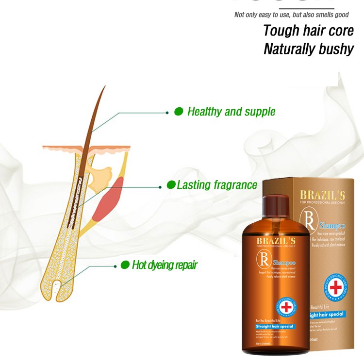 Best Private Label Natural Brazil Keratin Hair and Scalp Care Argan Oil Nourishing Shampoo for dry and damaged hair