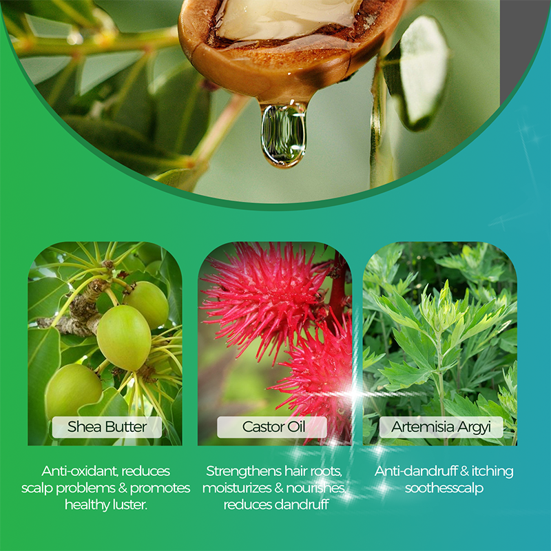 Custom Private Label and Bottle Sulphate-Free Gentle Formula Moisturizing Shea Butter Hair Shampoo Manufacturer