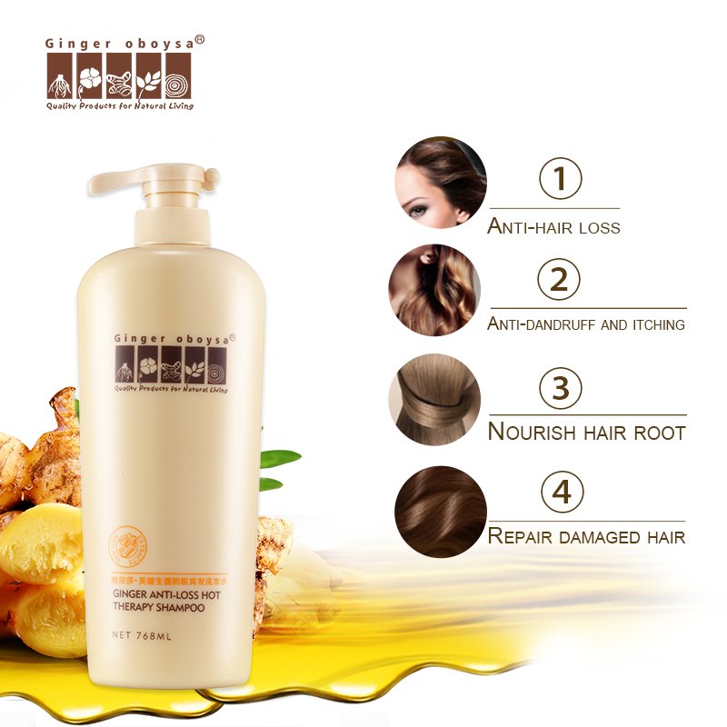 Professional Ginger Extracts Anti Hair Loss Shampoo For Hair Growth Shampoo Manufacturer