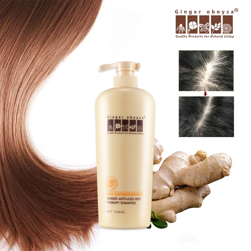 Professional Ginger Extracts Anti Hair Loss Shampoo For Hair Growth Shampoo Manufacturer