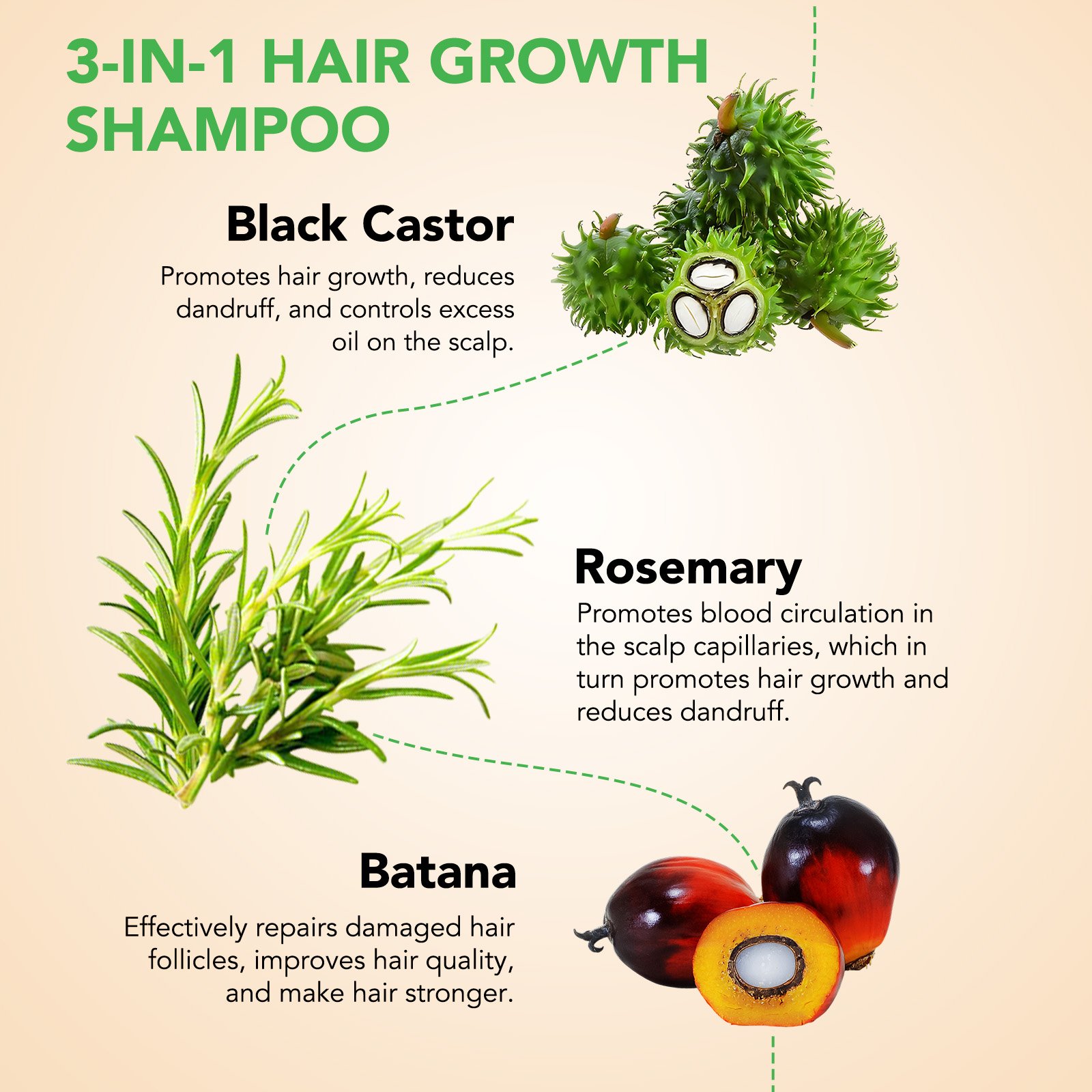 ALIVER private label enhances hair shine organic biotin low moq jamaican black castor batana rosemary oil hair growth shampoo