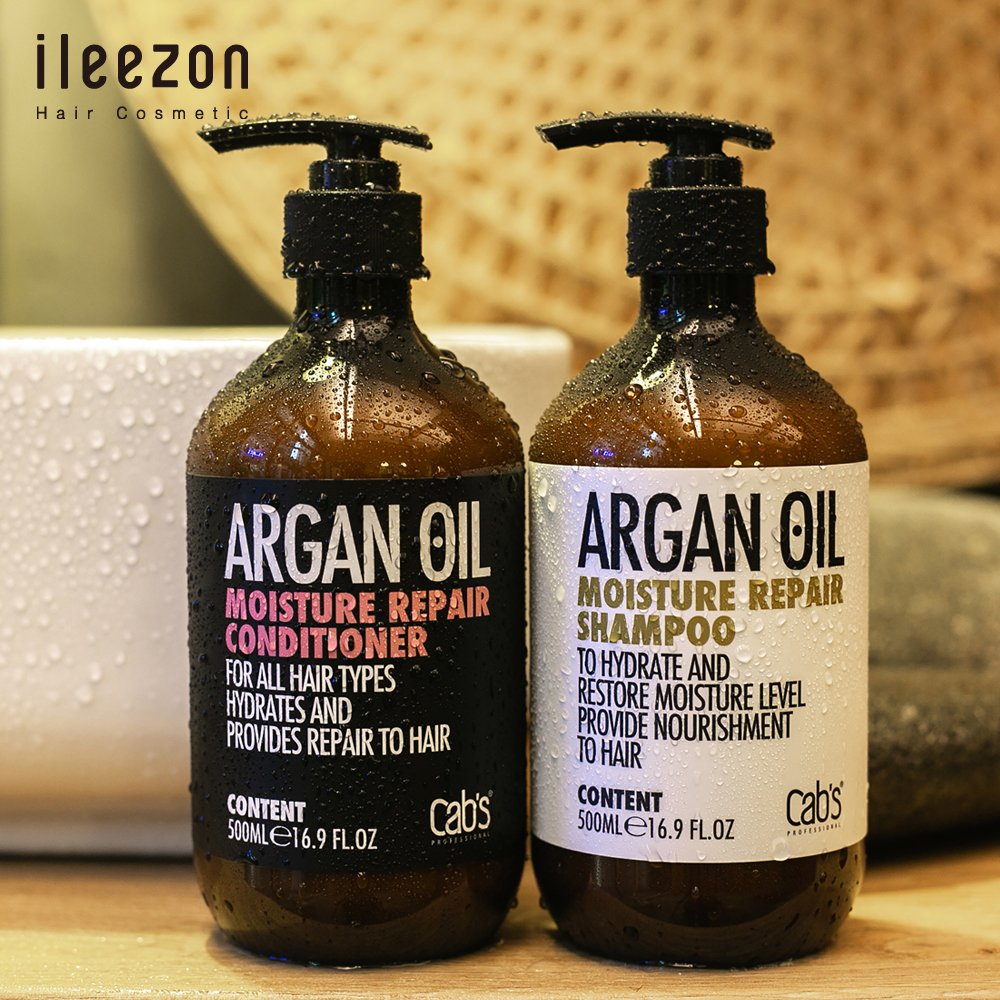 wholesale price hair cosmetic Argan Oil Moisture Repair Shampoo and Conditioner set