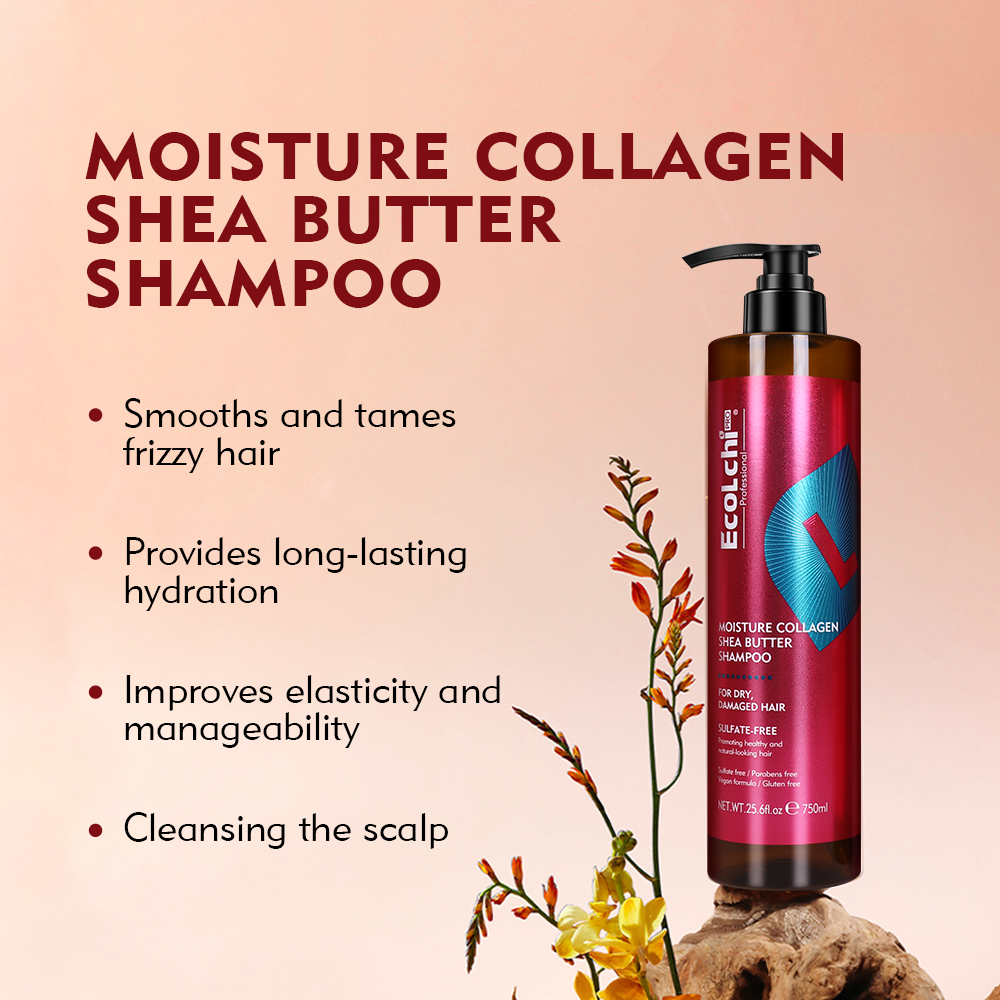 Ecolchi PRO Organic Hair Care Argan Oil Nourishing Sufate-Free Shampoo Moisture Collagen Treatment Hair Shampoo