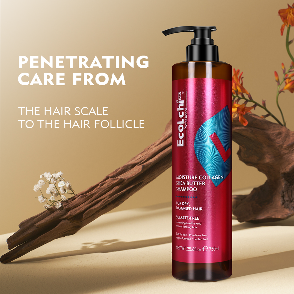 Ecolchi PRO Organic Hair Care Argan Oil Nourishing Sufate-Free Shampoo Moisture Collagen Treatment Hair Shampoo