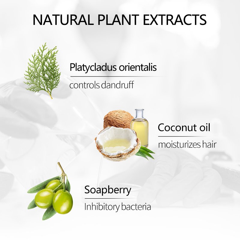 Oil Serum Hair Care Shampoo Leave in Hair Conditioner Shampoo