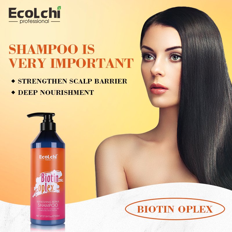 Private Label Wholesale Factory Moisturize Nourish Anti-dandruff Argan Oil Hair Shampoo