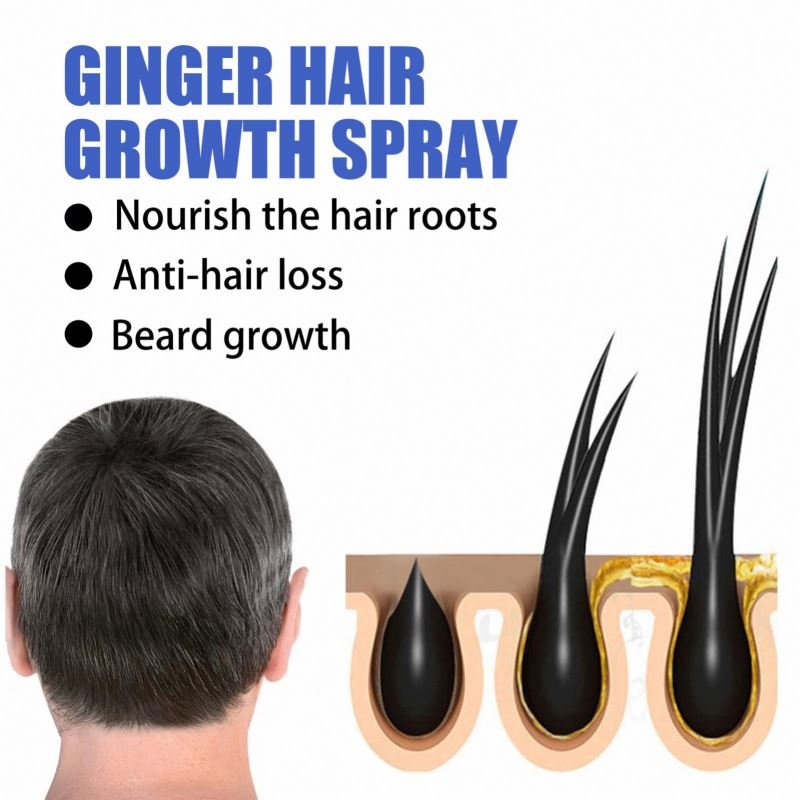 EELHOE Herbal Anti Loss Serum Essential Oil For Regrowth Hair Growth Ginger Spray