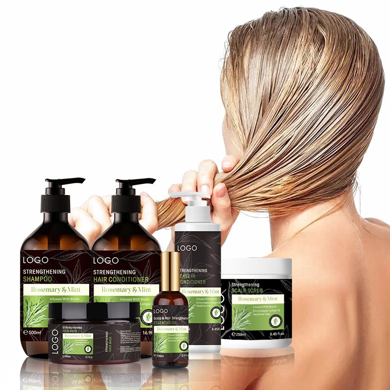 Sulfate Free Moroccan Argan Oil OEM Own Label Rosemary Mint Hair Care Set Anti Dandruff Shampoo Conditioner