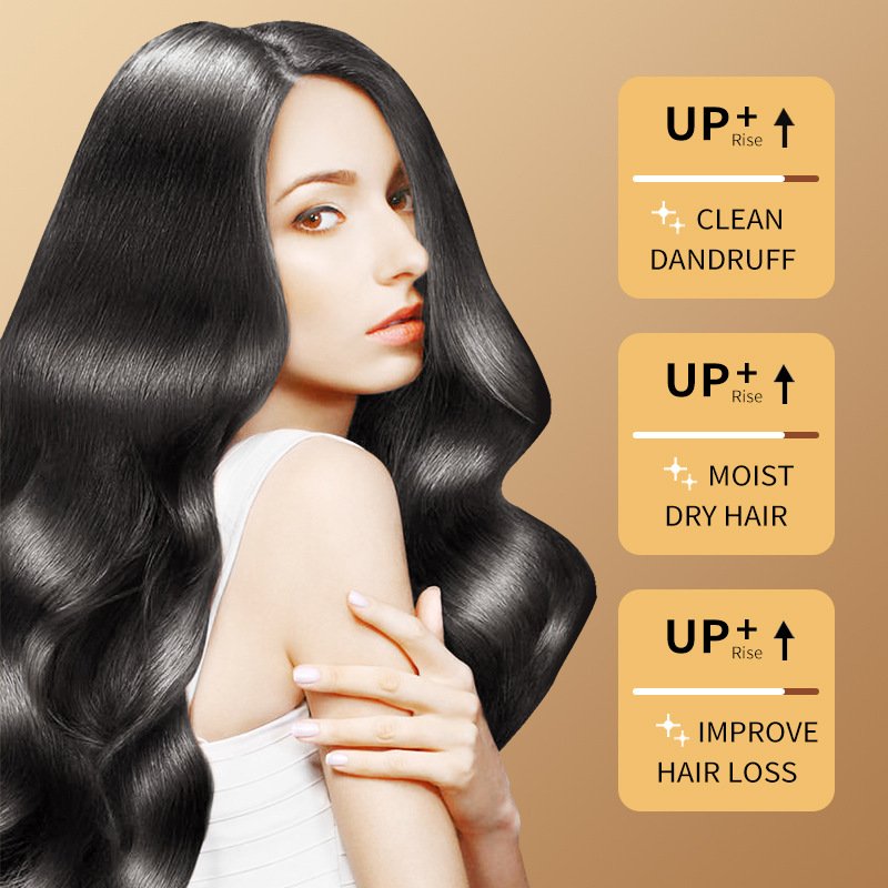 Korea Natural Organic Hair Repair Oil Control Anti-hair Loss 500ml Ginger Essential Hair Shampoo and Conditioner