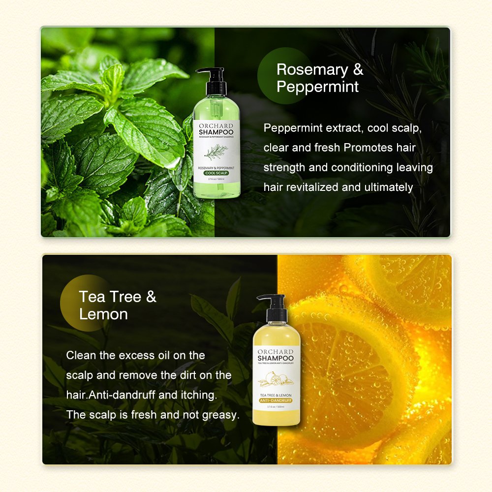 Oem 100% Natural Shampoo For Hair Growth Ginger Essence Anti Hair Loss Thicken Best Hair Growth Shampoo Private Label