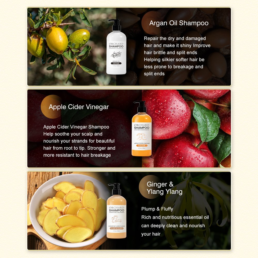 Oem 100% Natural Shampoo For Hair Growth Ginger Essence Anti Hair Loss Thicken Best Hair Growth Shampoo Private Label