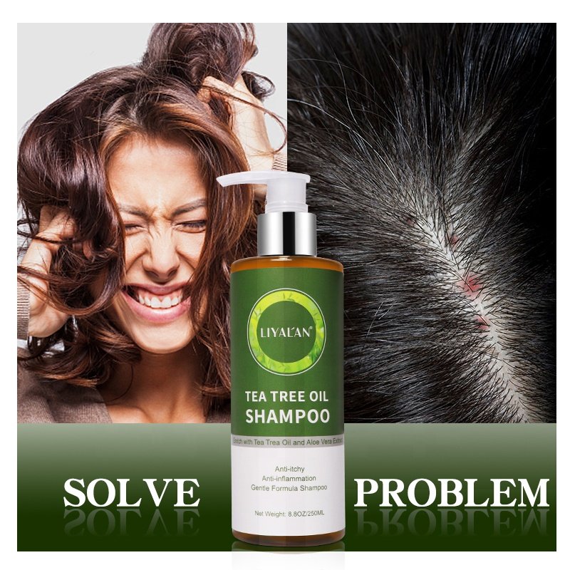 Private Label Deep Cleansing Anti-Itchy Dandruff Tea Tree Oil Shampoo