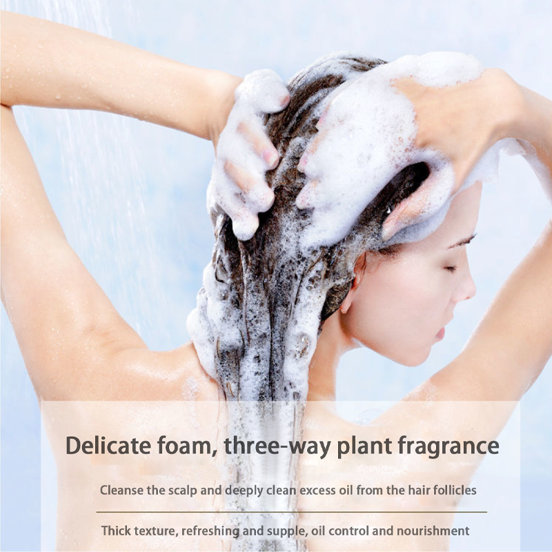 Bulk In Stock Fast Delivery Moisturizing Hair Oil Control shampoo And Conditioner