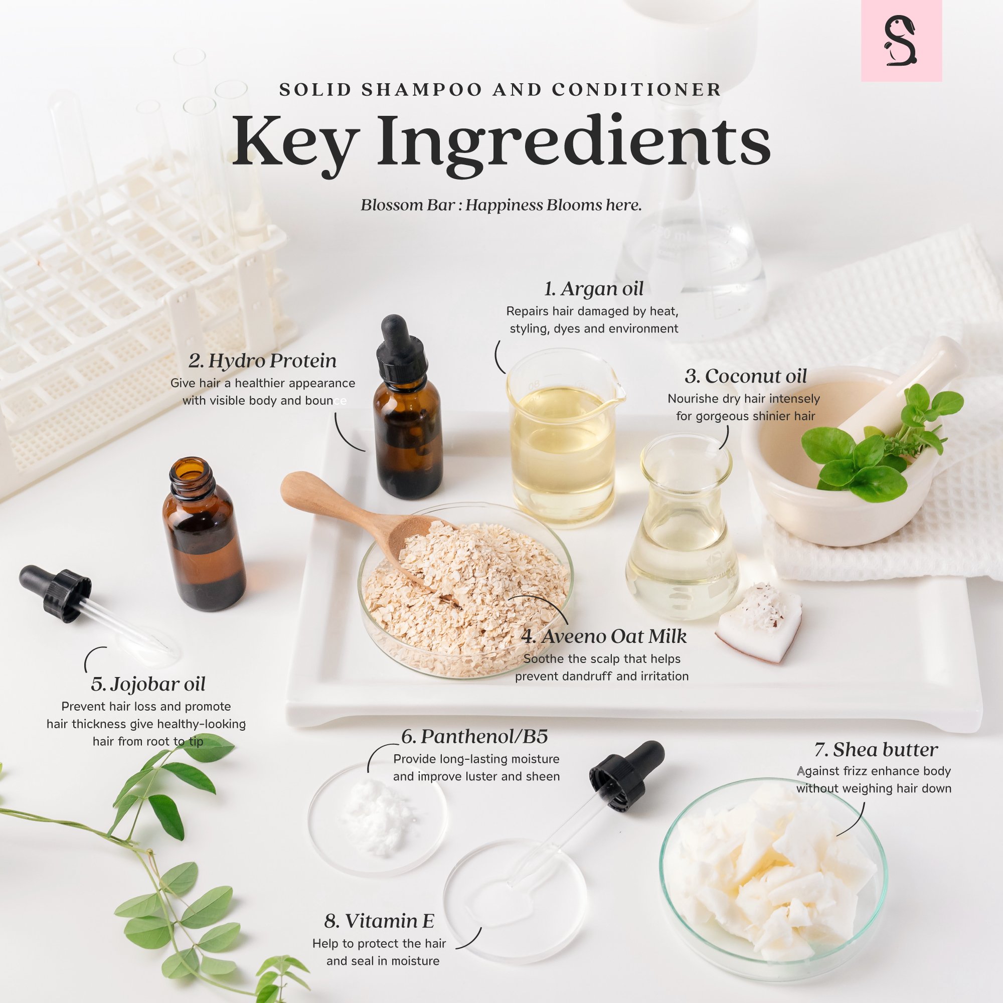 Vegan Eco-Friendly Hair Care Bar Jasmine Mint Scent Shampoo Conditioner Moisturizing Smoothing Thailand Amino Acid Fluffy Design