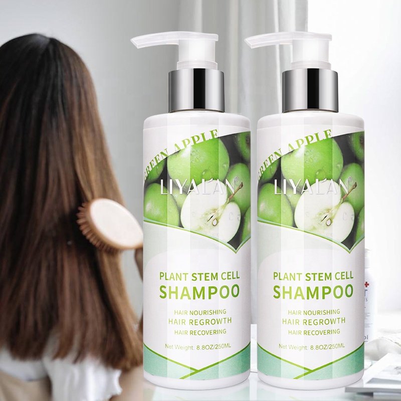 Wholesale Professional Regrowth Recovering Organic Anti Hair Loss Plant Stem Cell Hair Shampoo