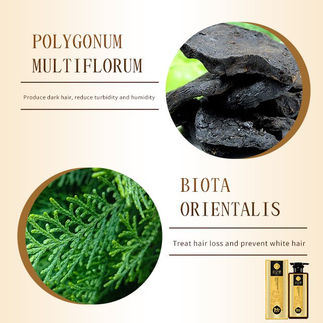 OEM Custom 418ml Hair-Loss Prevent Shampoo Oil Control Natural Herbal Repair Shampoo Strengthening Anti-Frizz Shampoo