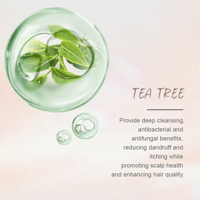 Moisturizing Tea Tree Shampoo for Scalp Care Deep Hydration and Enhancing Shine with Frizz Control