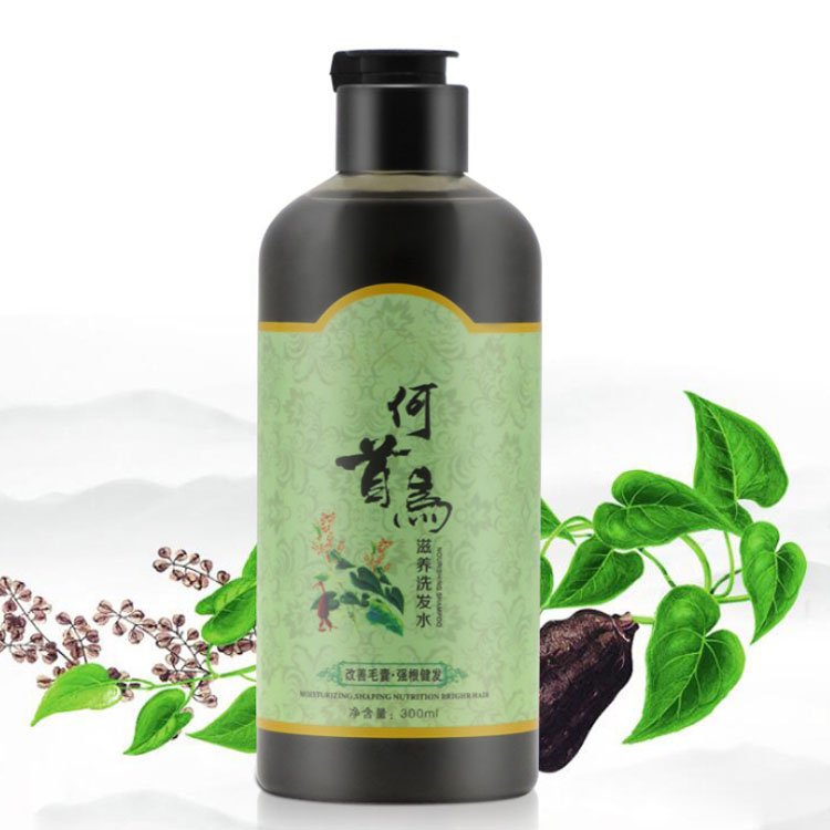 Wholesale Organic anti hair loss shampoo polygonum multiflorum shampoo