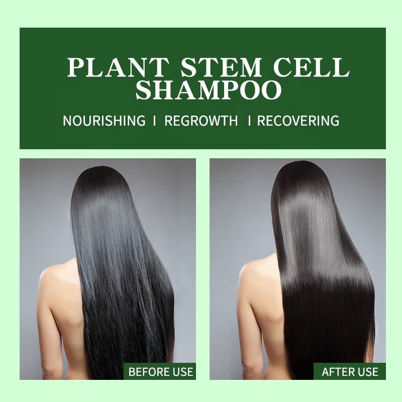Professional Private Label Nourishing Smoothing Regrowth Plant Stem Cell Shampoo For Hair