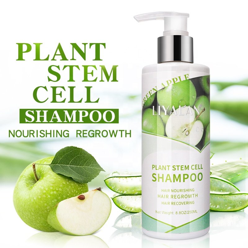 Professional Private Label Nourishing Smoothing Regrowth Plant Stem Cell Shampoo For Hair