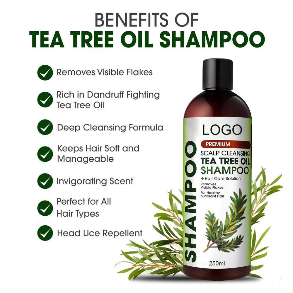 OEM Private Label Hair Care Anti-Dandruff Organic Tea Tree Oil Shampoo and Conditioner Set