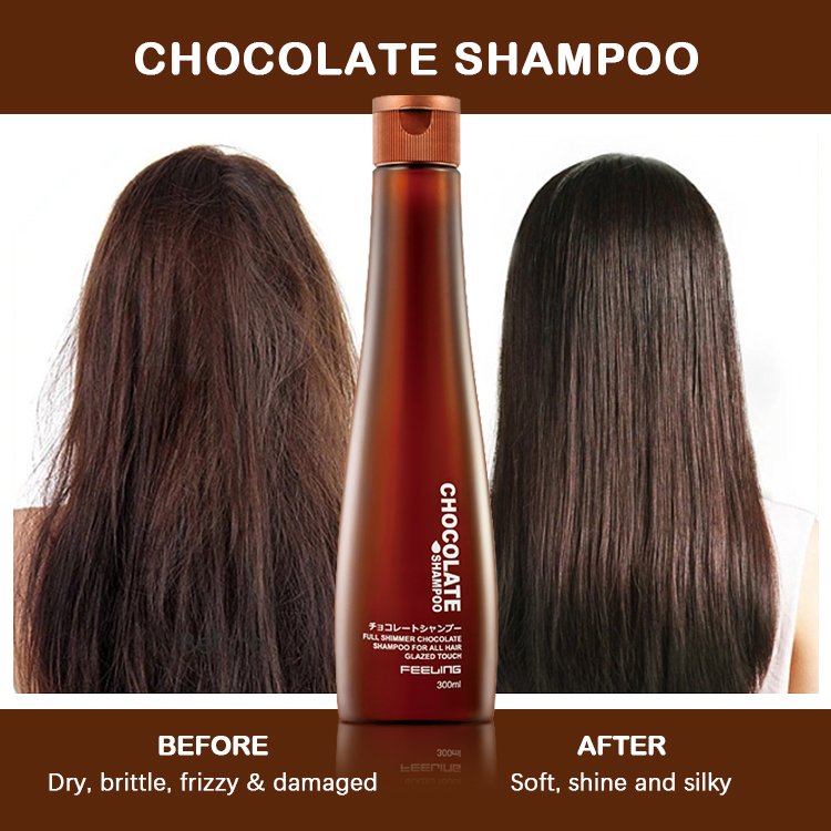 Factory OEM Chocolate Shampoo 200ml Anti-Oxidant Romance Fragrance Provides Elasticity