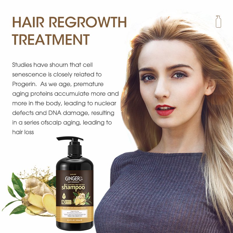 Customized Private Label Hair Care Set Ginger Tea Tree Oil Hair Growth Shampoo And Conditioner