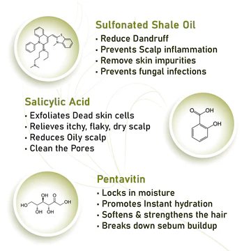 Wholesale Scalp Care Tea Tree Eucalyptus Oil Conditioner and Shampoo Nourishes Dry Hair Itchy Scalp Relief Dandruff Removal