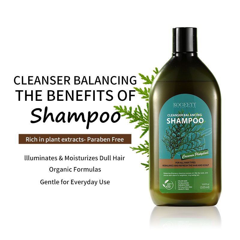 KOGEEYY Orgaic Platycladus Orientalis Leaf Extract Shampoo Nourishing Hair Care Smoothing Moisturizing Tee Tree Oil Shampoo