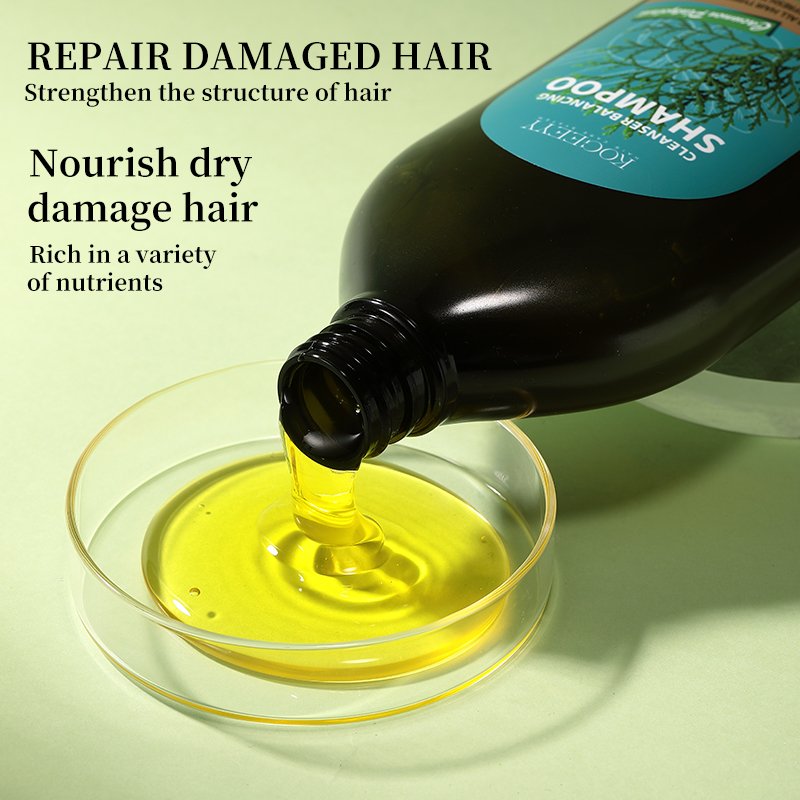 KOGEEYY Orgaic Platycladus Orientalis Leaf Extract Shampoo Nourishing Hair Care Smoothing Moisturizing Tee Tree Oil Shampoo