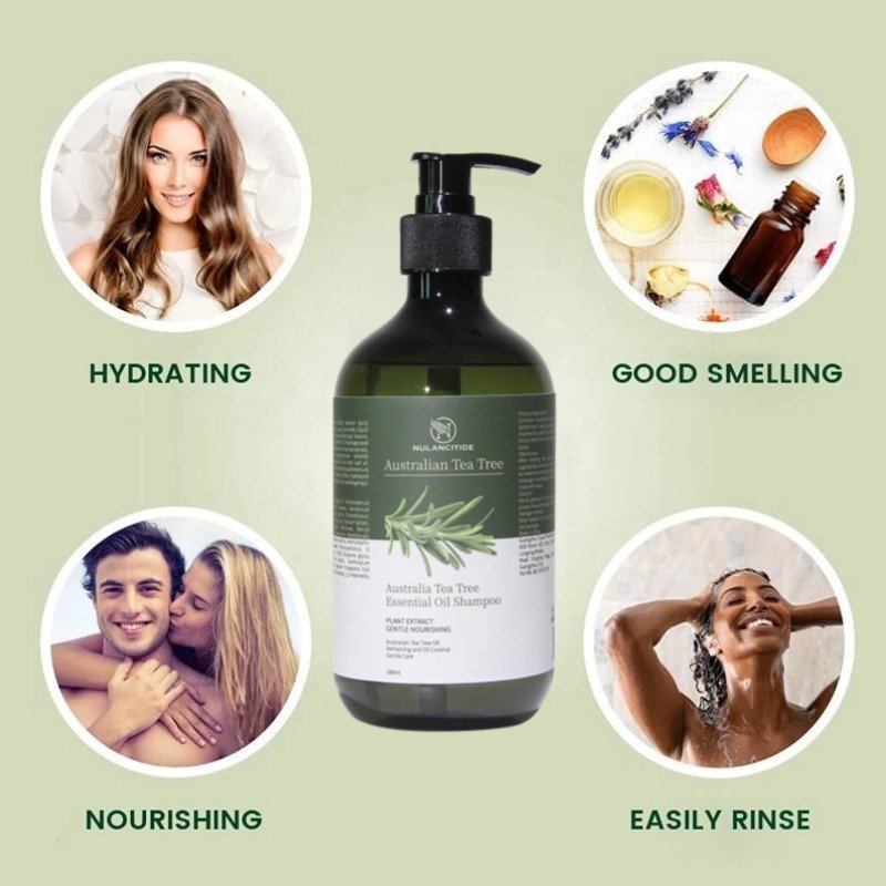 Tea Tree Oil Control Shampoo Hair Care Products Hair Loss Rosemary Organic Ginger Mint Oil Hair Growth Shampoo For Men And Women
