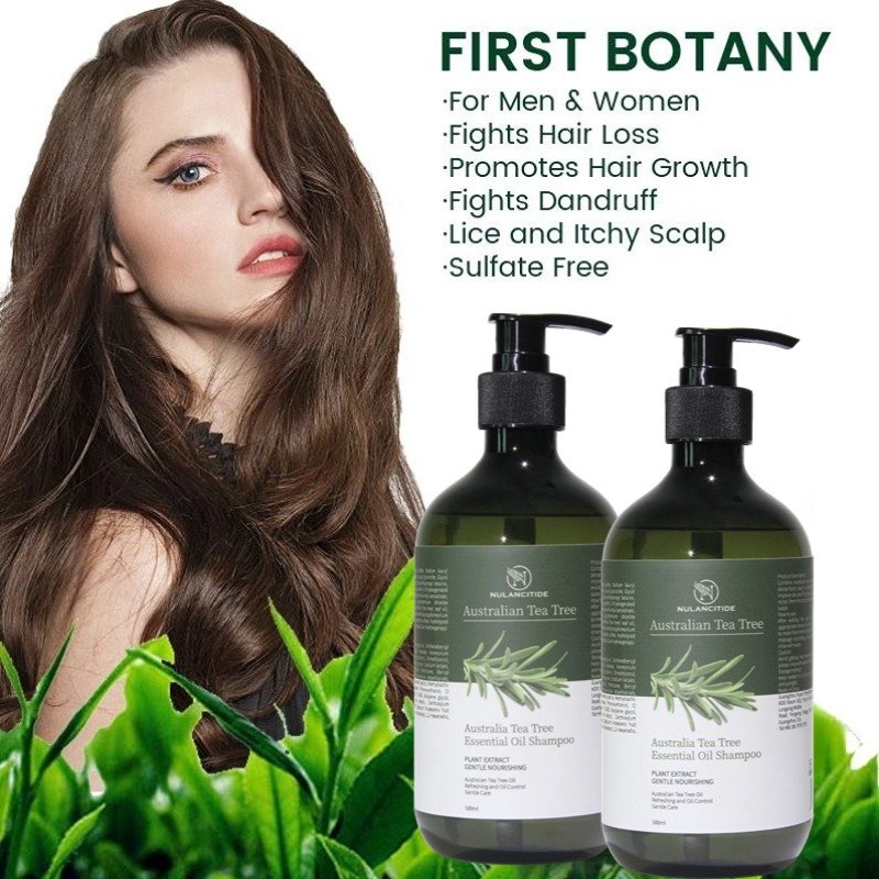 Tea Tree Oil Control Shampoo Hair Care Products Hair Loss Rosemary Organic Ginger Mint Oil Hair Growth Shampoo For Men And Women