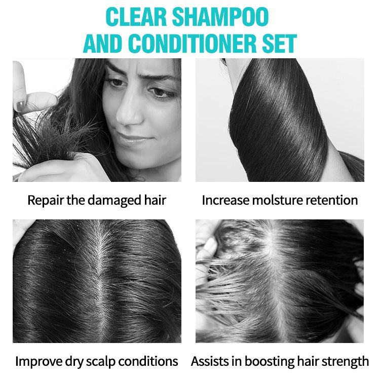 BOLOSEA Shea Butter Protein Shampoo And Conditioner Set Tea Seed Anti Dandruff Moisturizing Nourishing Hair Shampoo