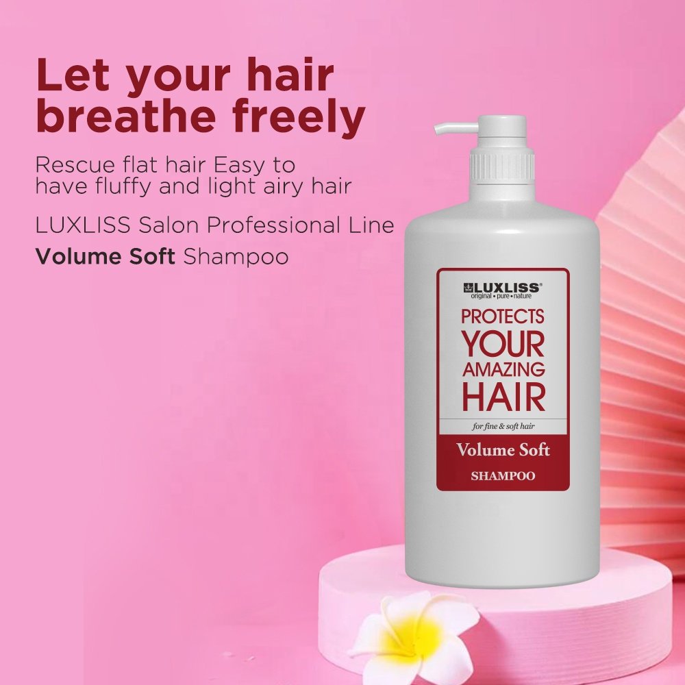 Private Label Hair Care Salon Sulfate Free Shampoo and Conditioner for Organic Dandruff Gallon Hotel Aloe Vera Tea Tree Shampoo