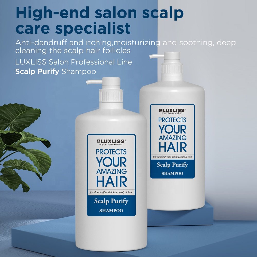 Private Label Hair Care Salon Sulfate Free Shampoo and Conditioner for Organic Dandruff Gallon Hotel Aloe Vera Tea Tree Shampoo